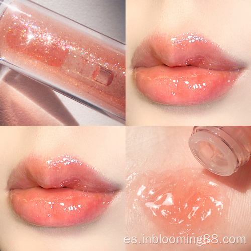 Venta al por mayor Clear Glitter Glossy Lip Gloss Private Label